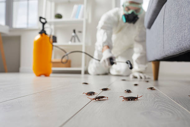 Commercial Kitchen Cockroach Control in Troy